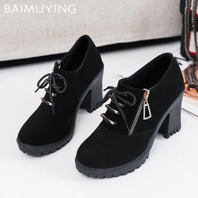 High Heels Women Ankle Boots Suede Retro Lace Up Chunky Shoes 2025 Trend Designer Zipper Pumps New Goth Winter Motorcycle Botas