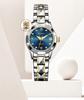 2025 Jinshidun Women's Waterproof Tungsten Steel Mechanical Watch