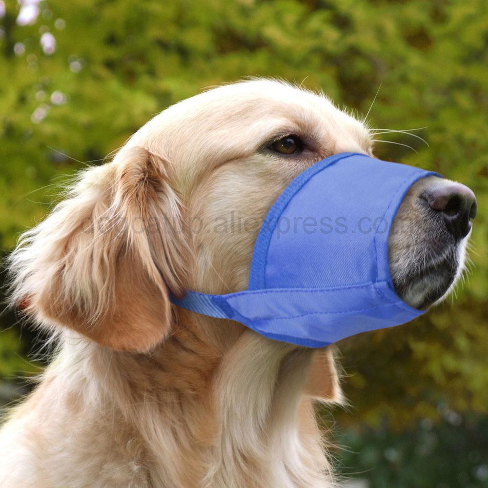 Adjustable Pet Dog Muzzle Breathable Anti Bark Biting Chew Dogs Muzzles Training Respirator For Small Medium Big Dogs Mouth Mask