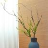 2pcs 40 Inch Bendable Artificial Tree Cherry Blossom Branches Vines Twigs Limb Trunk Silk Moss Green Plants for Garden Outdoor Wall Hanging Vase