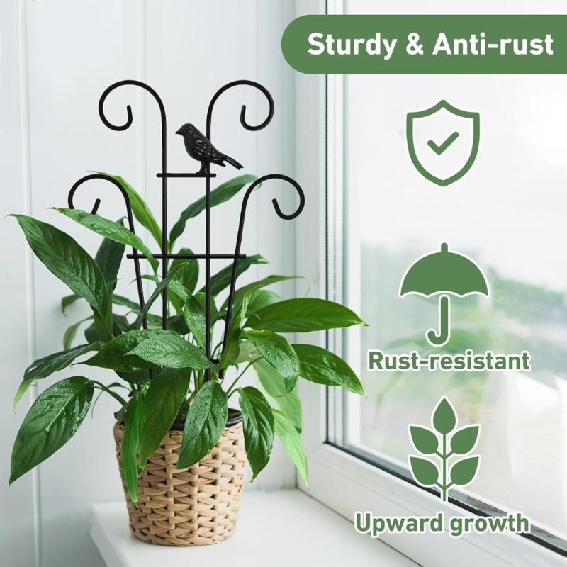 Iron Plant Climbing Support Durability Indoor Plant Trellis For Indoor Outdoor Garden Flower Vertical Growth