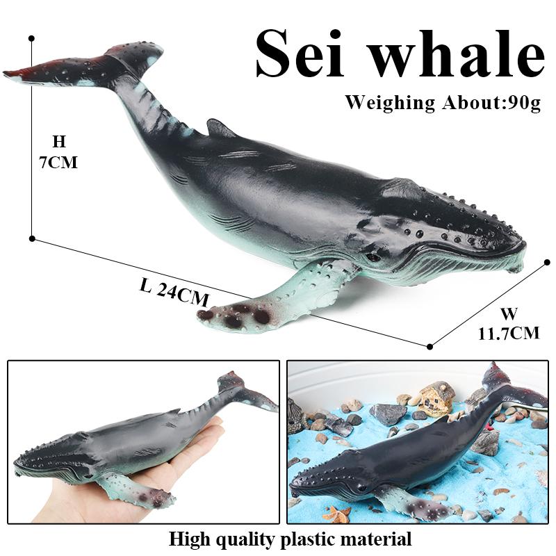 Oenux New Sea Life Seal Sea Lion Orcas Blue Whale Shark Megalodon Dolphin Aquarium Ocean Marine Animals Model Kids Toy Gift