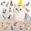 Cat Themed Pet Confetti Birthday Party Desktop Decoration Props Throwing