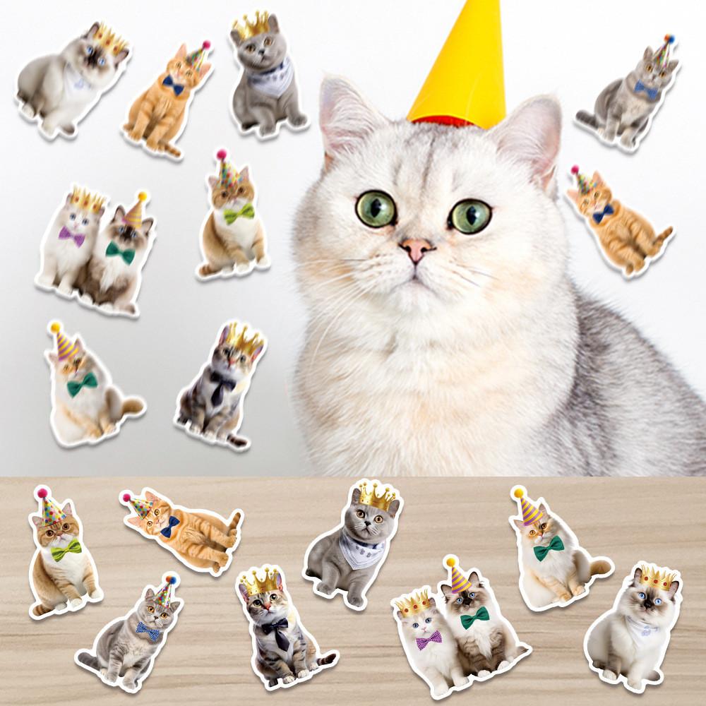 Cat Themed Pet Confetti Birthday Party Desktop Decoration Props Throwing