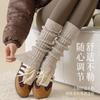 24 Autumn And Winter Thickened Socks Women'S Clip Fleece Thick Line Stockings Cover Two-Color Thick Needle Wind Calf Socks Leg Cover