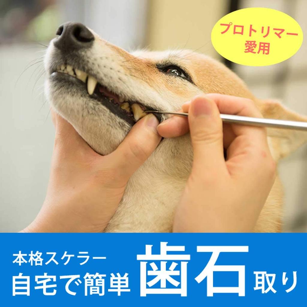 Hound Dental Zahnsteinentfernungszange für Hunde und Zahnpflege Plaque-Entfernungszange Typ [Tezukayama Cam] Katzen, Zubehör, (Zahnstein- und Scaler-Entferner, konisch/flach