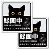 Decoyocar Car Recorder Sticker, Square, 5.1 X 5.1 Inches (13 X 13 Cm), Black