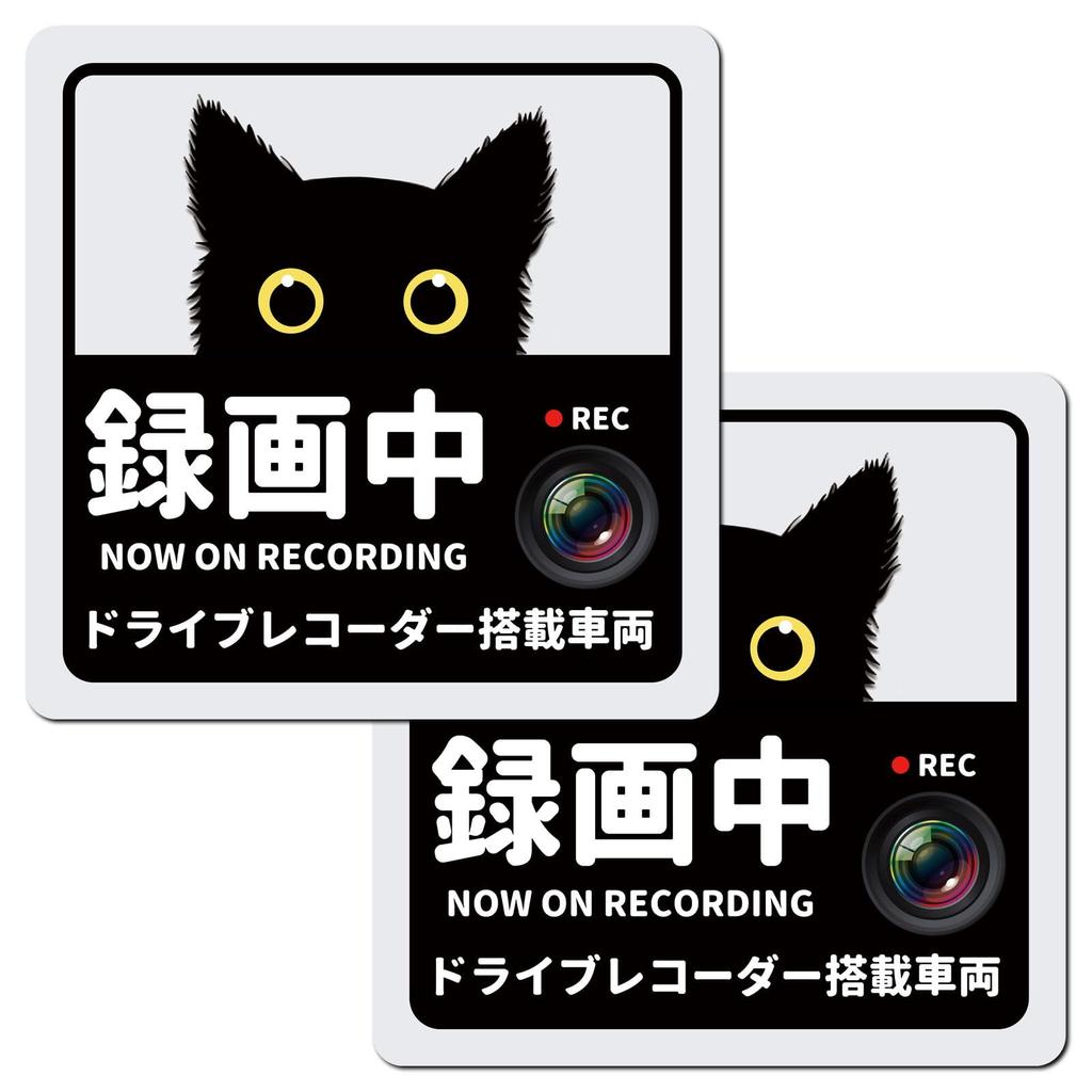 Decoyocar Car Recorder Sticker, Square, 5.1 X 5.1 Inches (13 X 13 Cm), Black