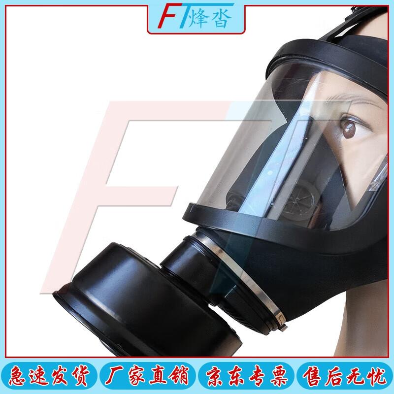 Fengta MF14 Full Face Gas Mask