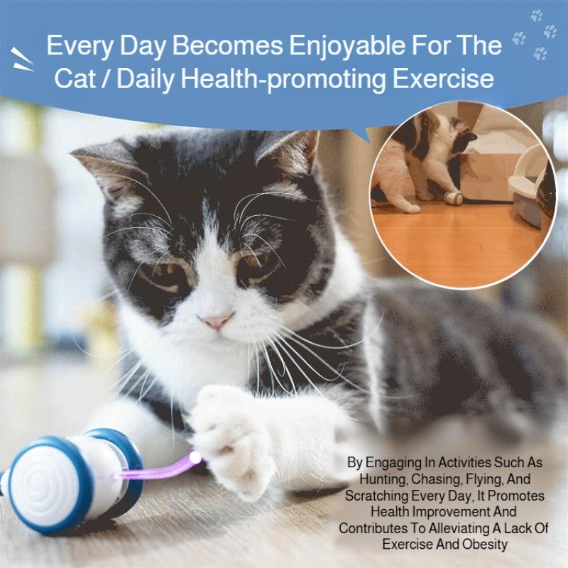 Kitten toys, electric cat toys, sports car toys, laser cat toys, cat catching mouse toys, automatic roller toys, cat teasers,