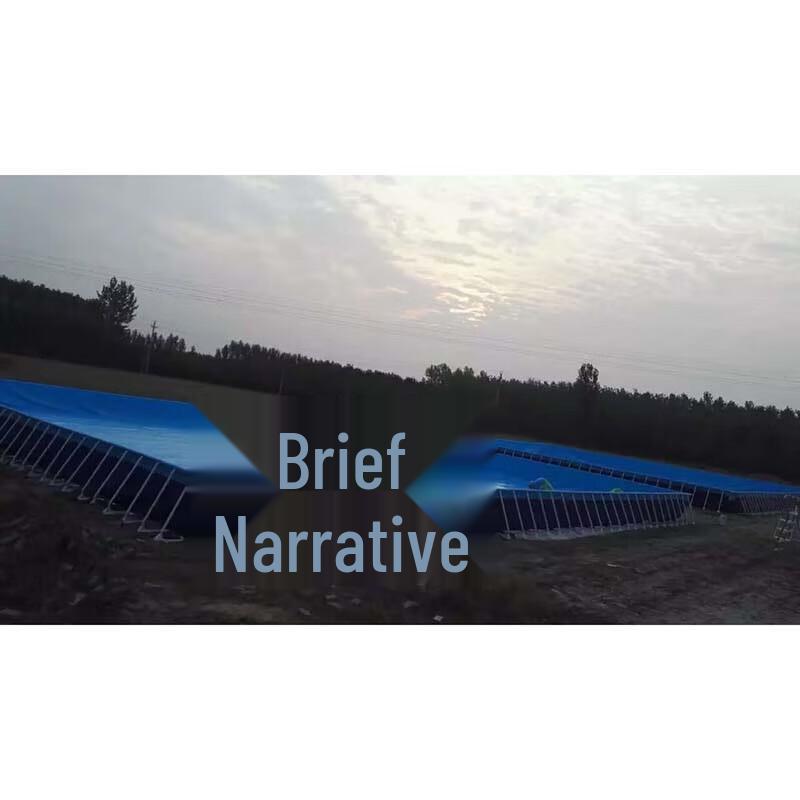 Outdoor Above Ground Frame Swimming Pool