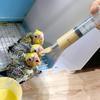 New Bird Parrot Feeder Spoon Pointed Baby Bird Milk Medicine Feeding Tools Baby Bird Feeding Spoon Feeding Pet Bird Supplies