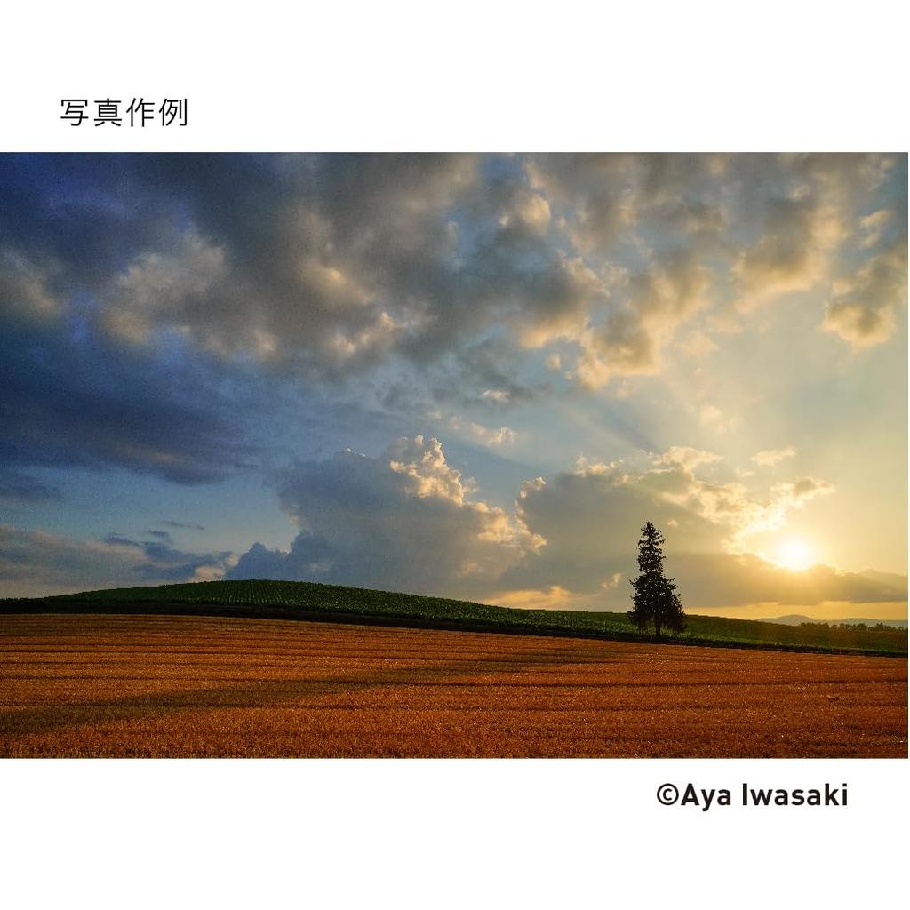 Sigma 24mm F2 DG DN Single for Mirrorless Contemporary Style Lens, L-Mount, Focus, Wide-Angle, Full-Frame Cameras,