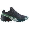 Speedcross 6 Salomon GORE-TEX 'Carbon Tahitian Tide' L47465300