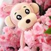 Cute Long-armed Monkey Plush Toy Couple Rag Doll Children's Doll Banana Monkey Photo Ornament