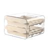 Household Kitchen Drawer Style Food Grade Fresh-keeping Box, Refrigerator Double-layer Plastic Egg Storage Box