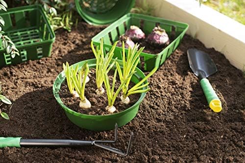 Meister Flower Bulb Planting Basket Set 22cm, 3-Pack Stackable Plant Baskets for Bulbs & Storage, Durable