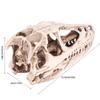 ZK50 Resin Dinosaur Skull Model Simulated Animal Skeleton Home Office Decor Craft Teaching Prop