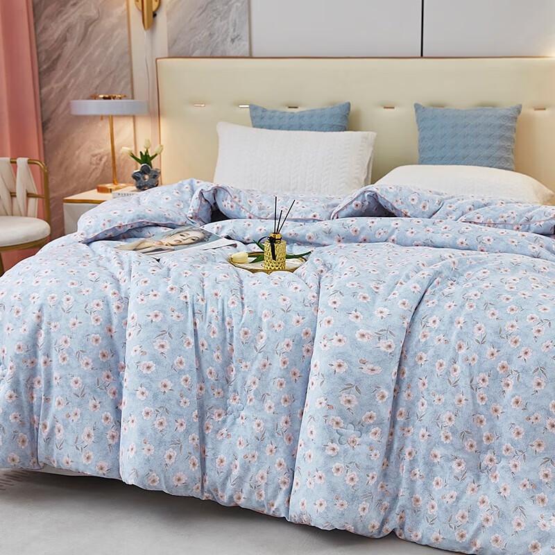 Donner Home Textiles Super Soft Fiber Quilt