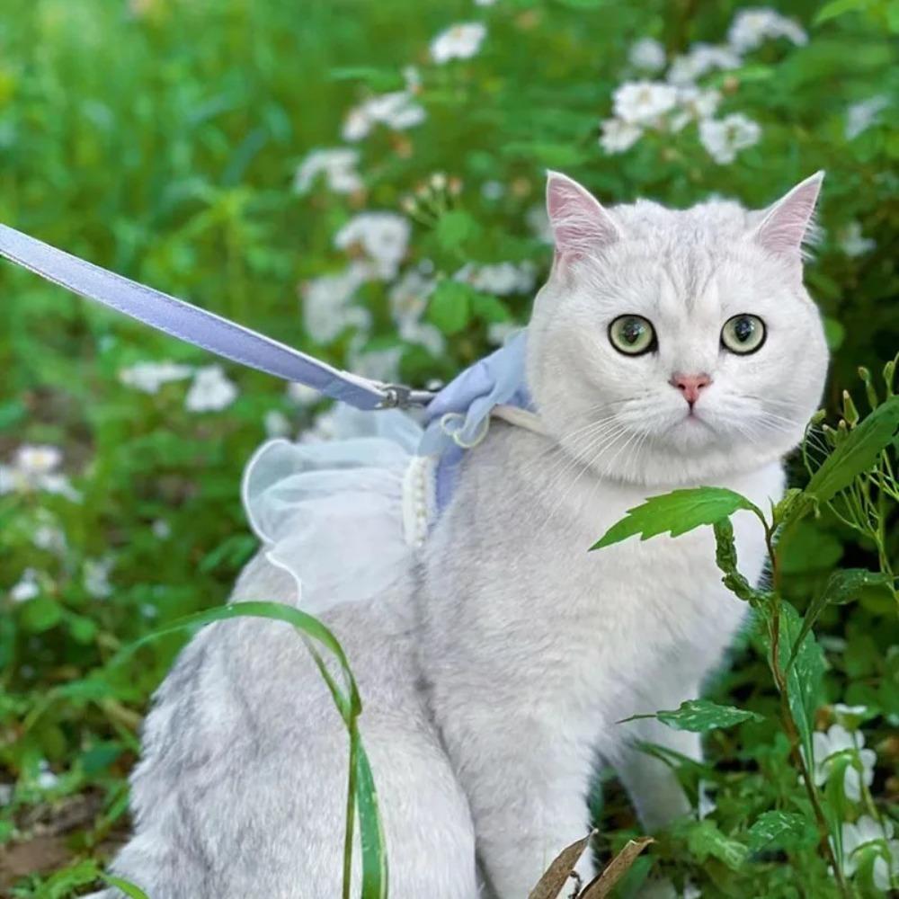 Adjustable Cat Harness Leash Princess Style Dog Traction Rope Cat Vest  For Cats Dogs