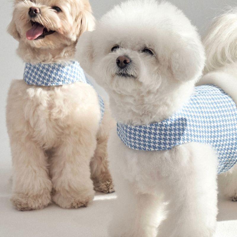 CROOKTHECHIHUAHUA Hound Pattern Harness - SKY BLUE