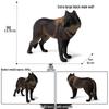 Cross-border Wild Animal Model: Prairie, Brown, Snow, Predator Wolves & Cub Educational Display Toy