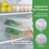 Sealed Refrigerator Storage Box Fresh Keeping Clear Food Container BPA Free for Kitchen Fridge Organization