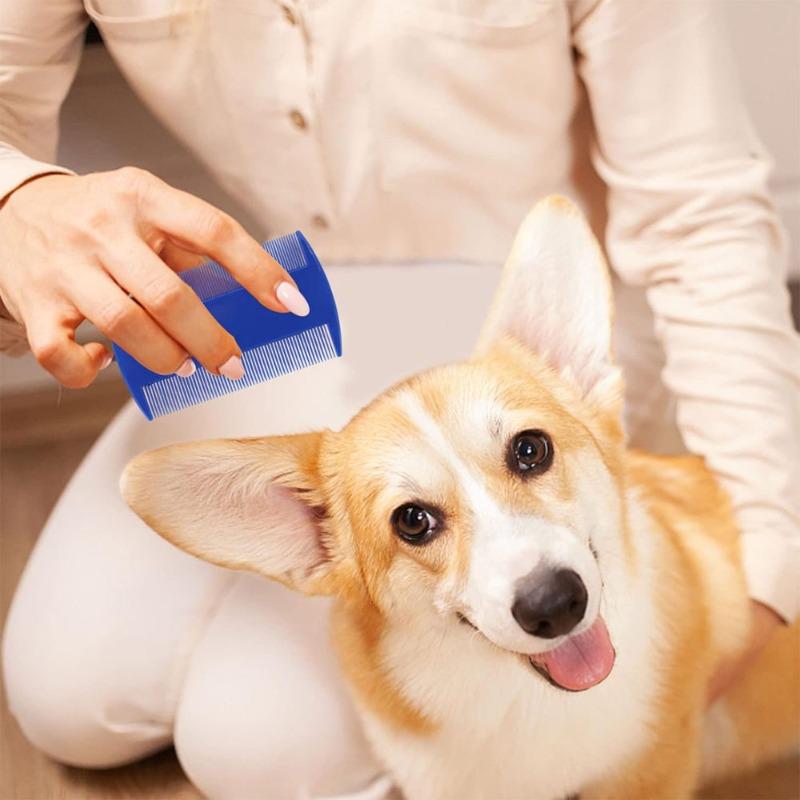 Flea Comb Set, Stainless Steel Louse Comb and Steel Grate 6-piece Set