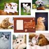 With Photo Frame Pet Commemorative Urn Personalized Pet Cremation Urn  Sympathy Gift