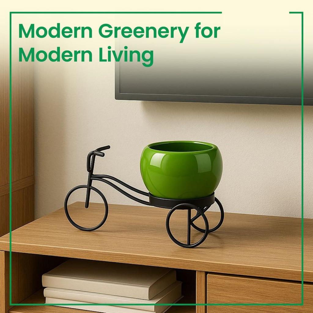 Cykelformat växtställ i metall för inomhus- och utomhusbruk, cykelvas i metall, dekorativ grytunderlägg i järn för blommor och ornament