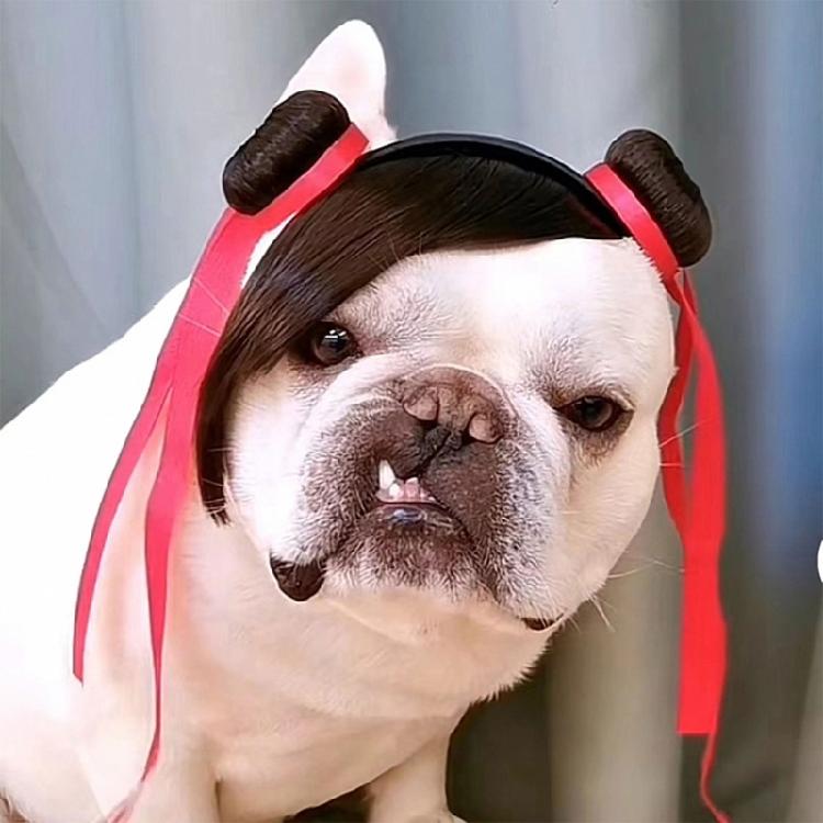 Pet Nezha Headband Dog Costume Headwear Lovely Cats Wigs Hairhoop for Halloween Party Dress Up Dog Costume Headband
