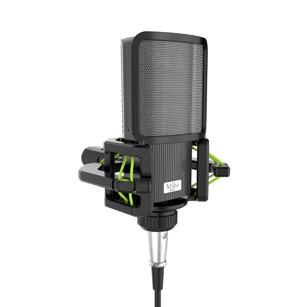 Cross-Border Anti-Vibration Microphone Shock Mount with Pop Filter