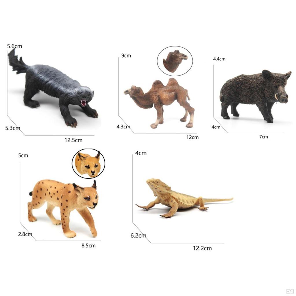 5 Pieces Animal Figures,Simulation Figures,Crafts Ornament Realistic Animals Toy Kids