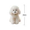 Poodle Plush Toys Simulated Dog Stuffed Doll Toys Hobbies Collection Room Decor Toys Kid'S Accompany Toys Birthday Gifts