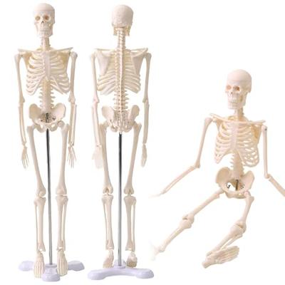 Colecionáveis e modelos – Modelos