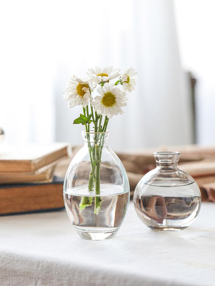 Retro Glass Vase Transparent Flower Bottle Nordic Plants Pot Flower Arrangement Hydroponic Terrarium Flowerpot Wedding Decor
