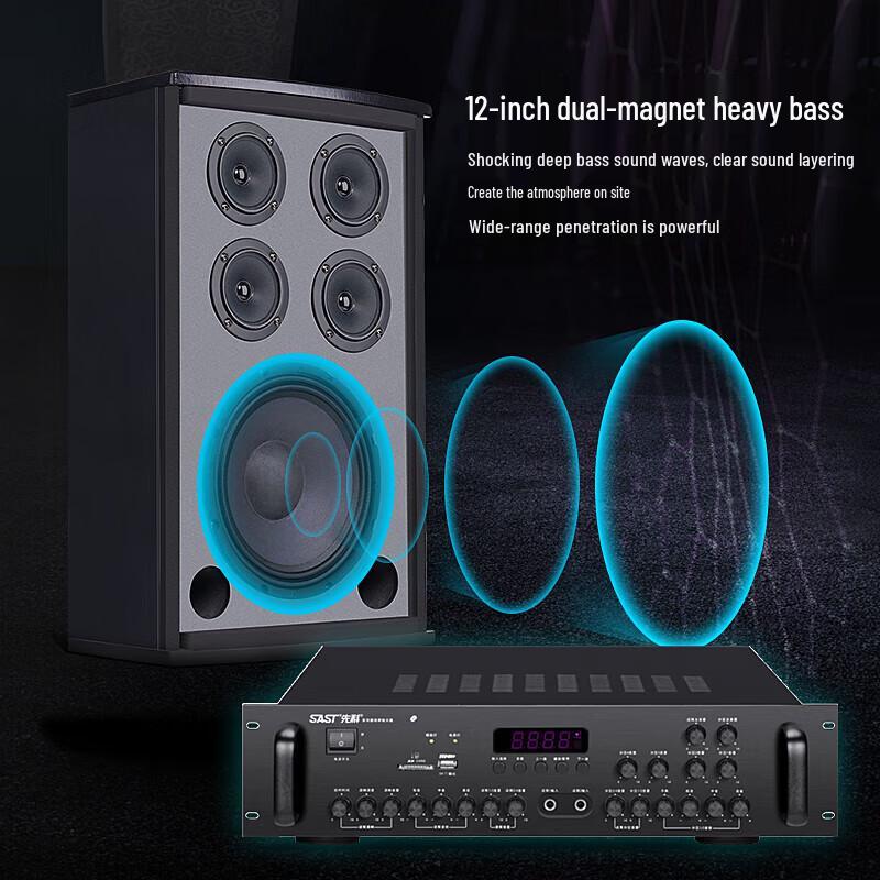 Xianke H10 10-inch Professional Passive KTV Speaker System