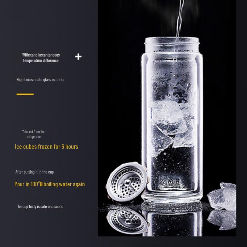 Xishino Portable Glass Tea Infuser Bottle with Handle