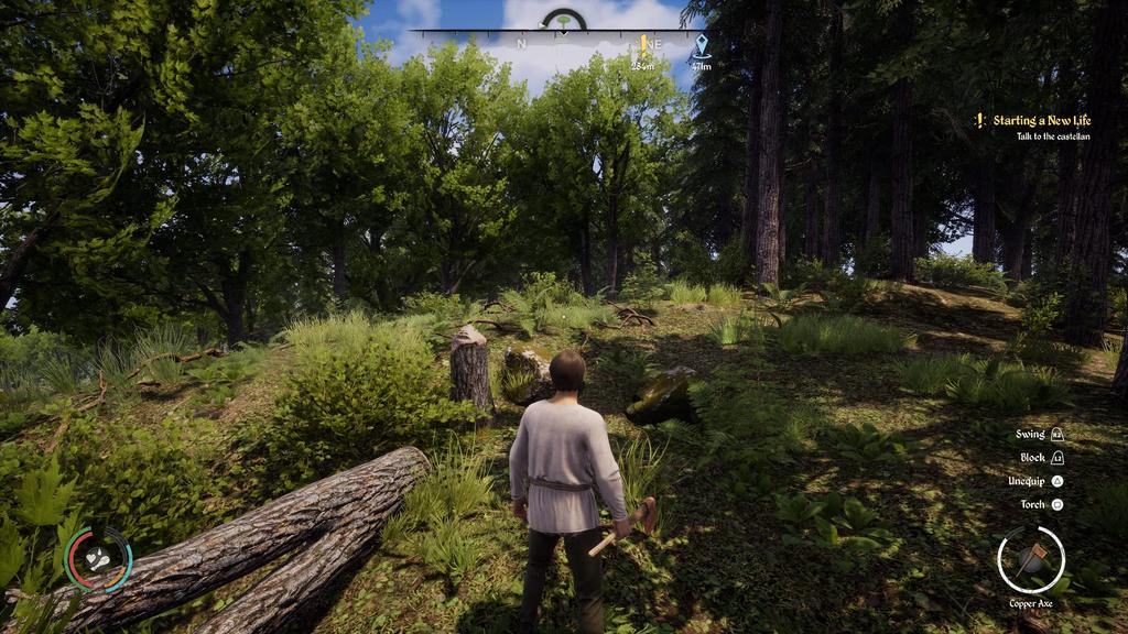 Medieval Dynasty North PS5 (Import America) -