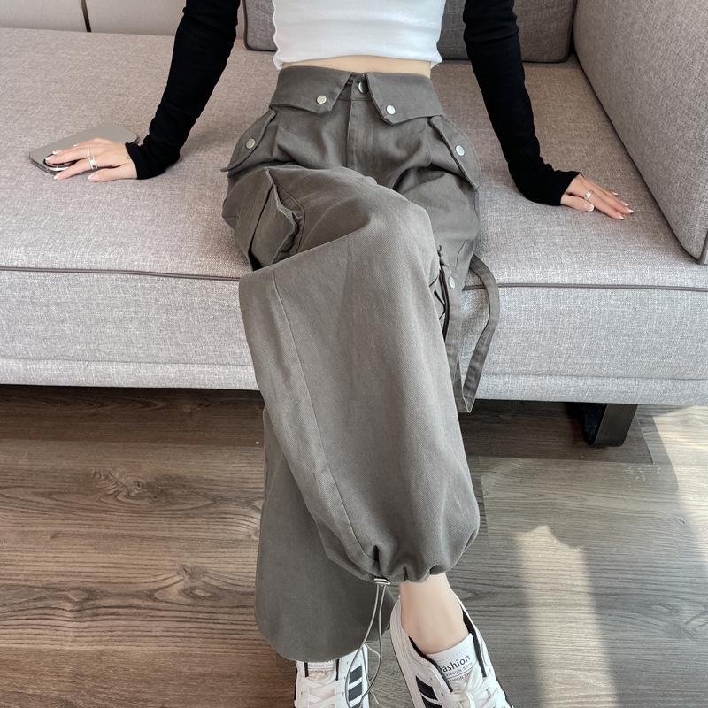2026 Autumn Women's High Waist Elastic Cuff Harem Workwear Pants