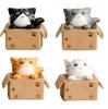 4pcs Cartoon Poor Box Cat Ornament Model Small Statue Car Crafts Fairy Garden Figure Ornament DIY Miniature