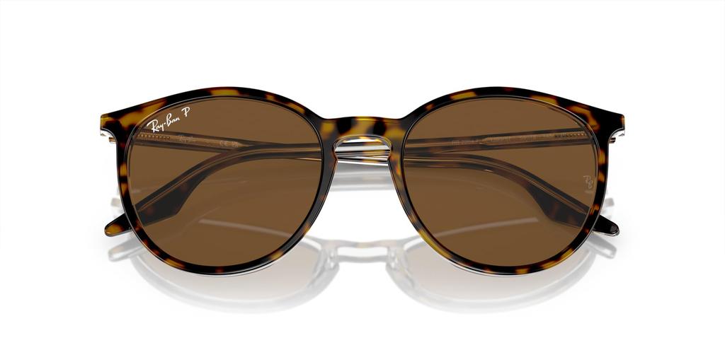 Sunglasses RB2204F HAVANA ON TRANSPARENT 54 Ray-Ban