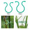 Durable Plant Support Clips for Vertical Growth - Practical Garden Tool