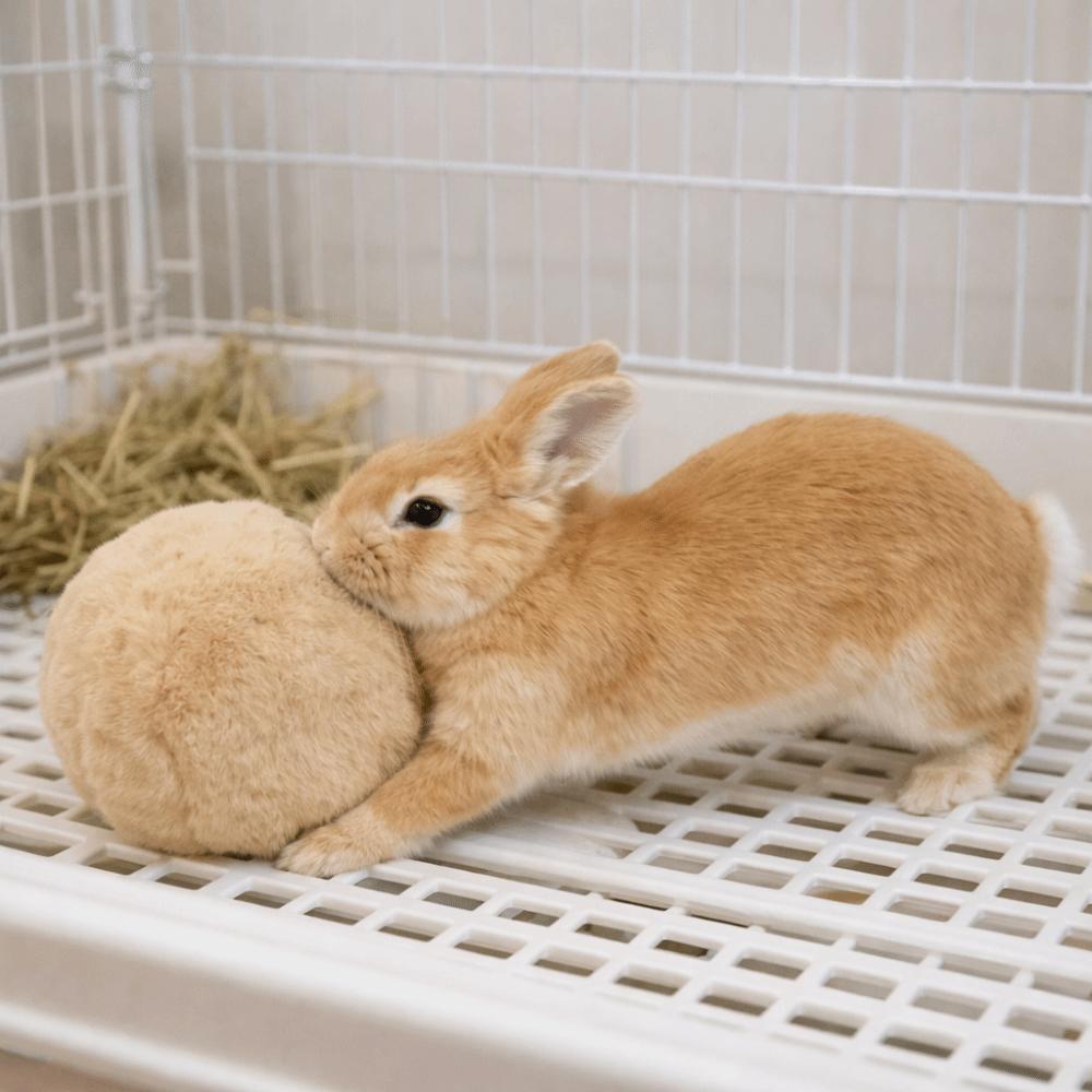 Bite Resistant Rabbit Soothing Ball Simulated Rabbit Buttocks Soft Pet Chewable Ball Comfortable Rabbit Venting Ball
