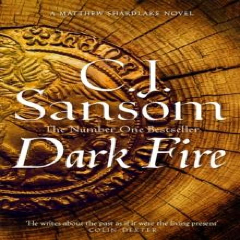 Dark Fire by C. J. Sansom Paperback Book 9781035012305