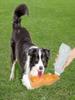 Pet Traveling Cup Drinking  Dog Cat Outdoor Portable Kettle Drinking Cup