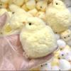 Cute Squishy Chick Soft Squeeze Silicone Toy Stress Relief Sticky Hamster Kawaii Mini Chicken Fidget Toy for Teen Kid Gift