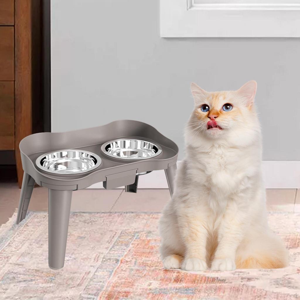 Elevated Dog Bowls Double Raised Anti Slip Feet Dish 2 Stainless Steel for Small Medium