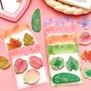 Simulated Leaf Combination Notes Creative Message Stickers Student Stationery Gifts Learning Supplies Office Stationery Supplies