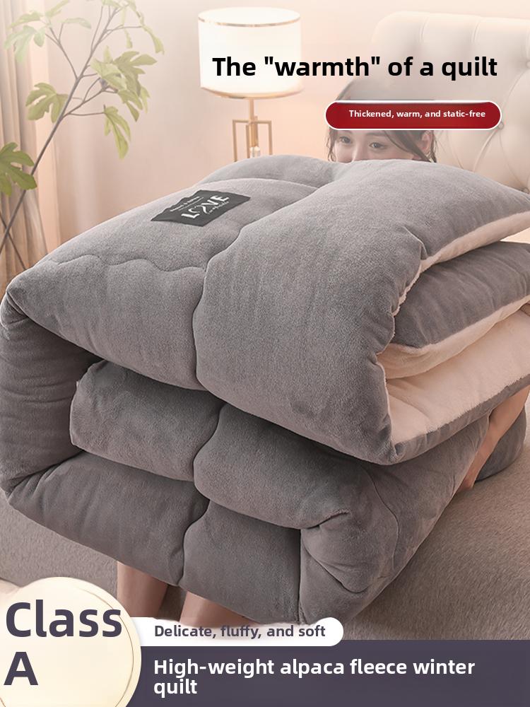 Thiened Lamb Velvet Blanket Double-Sided Coral Velvet Warm Winter Quilt Duvet Core Cotton Cover for Autumn And Winter